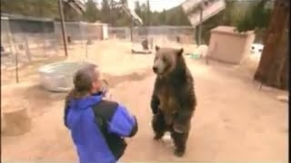 This Bear MAULED His Trainer ON SET