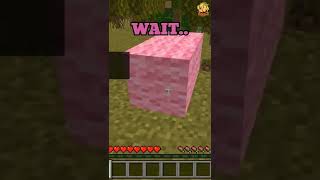 SPEEDRUNNING THE RAREST MOB IN MINECRAFT!