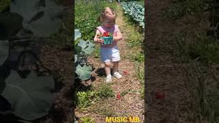 BABY GIRL PICKING STRAWBERRY FUNNIEST VIDEO #BABY #strawberry #funny #TRENDING #SHORTS #REELS #VIRAL