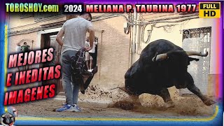 MEJORES MOMENTOS INEDITOS DE MELIANA P.T 1977 2024 TOROS TV