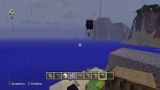 Funny Mincraft