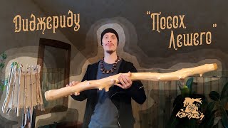 Диджериду "Посох Лешего"