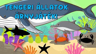 Árnyékkereső kaland tengeri állatokkal - Játékos keresés gyerekeknek🦈🐬🦀