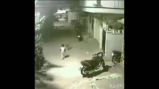 Brave young Hyderabad kid stands up to four straw dogs | viral Hyderabad kid fights dogs video |