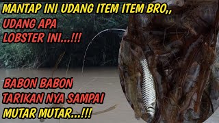 PADA KELAPARAN GAK DIKASIH JEDA LEMPAR SAMBAR|mancing teknik dasar umpan cacing gacor,