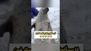 بتودي فلوسك فين 😂