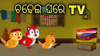 Chadhei Ghare Tv | Odia Cartoon | Odia Bird Stories | Odia Chadhei Gapa| Odia Moral Story