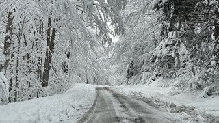 Zima ❄️❄️❄️ Trešnjevik - Andrijevica 26.11.2023.