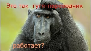 Почему заплакал Пушкин?!! или как работает Гугл-переводчик