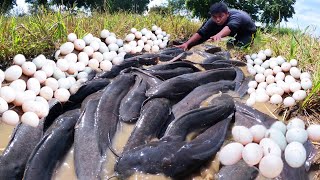 wow Amazing! best hand fishing! catch a lot of fish and eggs duck at field near the road