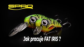 Jak pracuje SPRO - FAT IRIS 40 DR