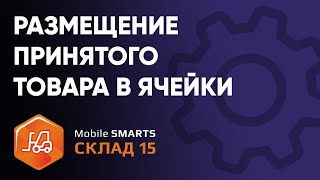 Размещение принятого товара в ячейки кладовщиком на ТСД в «Mobile SMARTS: Склад 15»