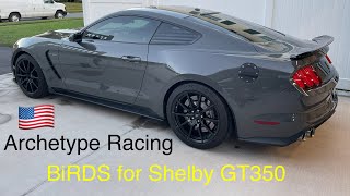 Archetype Racing BiRDS system for the 2015-2020 Shelby GT350