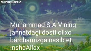 MUHAMMAD S.A.V   NING JANNATDAGI DOSTI OLLOX BARCHAMIZGA NASIBI ROZI AYLASIN INSHAALLAX!