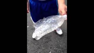 Boom! Explosion in a plastic bottle (turn your volume up al