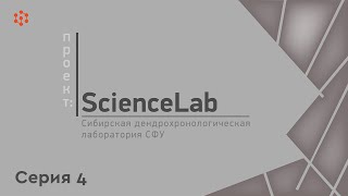 Проект ScienceLab: Сибирская дендрохронологическая лаборатория СФУ (серия 4)