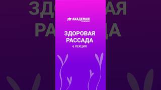 Как защитить рассаду от болезней? 6-я лекция в рамках Академии Экодачник уже на канале! #рассада