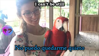 Otto & I - Can't Be Still [ sub español inglés / Lyrics ]