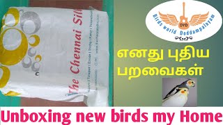 New birds Unboxing/mutation  & bird details video/தமிழ் birds world Doddampalayam