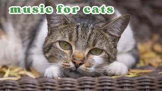 Tranquil Tunes for Anxious Pets: Music to Relax Cats & Dogs