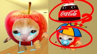 Sad Apple Cat Asks Me To Find Baby Apple Cat And Baby Cola Munci