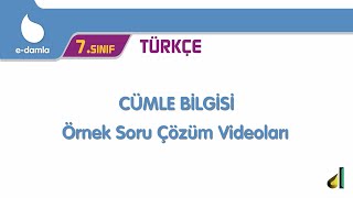 7. Sınıf Türkçe - 3. Ünite Cümle Bilgisi Örnek Soru Çözüm Videoları