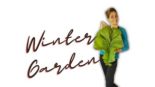 Winter Successions & Garden update 1-22-24