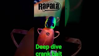 #shorts deep dive crankbait rapala