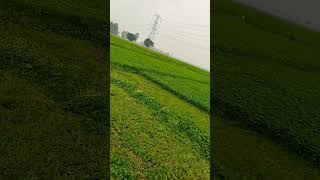 #viral #video #trending #farmer