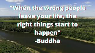 Buddha Quotes||inspirational quotes||success quotes||Buddha Quotes||Powerful Buddha Quote||