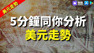 【美元走勢】 5分鐘同你分析美元走勢｜Kimmy 湯麗鴻 | 美元2023｜秒投所好 | 秒投StockViva