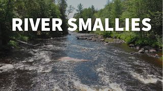 Shallow & Rocky River Smallies   (The best kind of river fishing!)