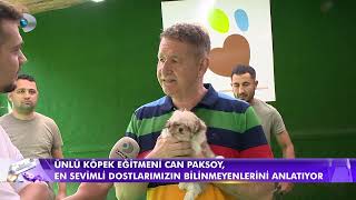 Türkiye'nin en küçüğü Micro Teacup Morkie ve en zeki Labradoodle köpeklerini Can Paksoy anlatıyor