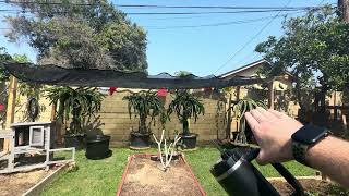 Shade cloth built for plants