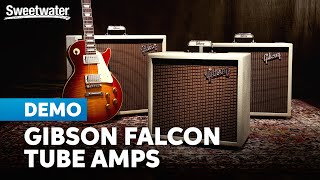 Gibson Falcon Amps: Tube-fueled Icons Soar with New Wings