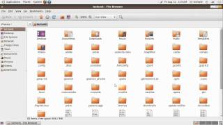 Ubuntu-Video-Tutorials Post 1: How To Reset Ubuntu's Appeara