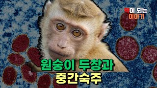 원숭이 두창 바이러스와 중간숙주, 원숭이 두창의 발생과 확산의 원인,  인수공통 감염병의 매개체 중간숙주