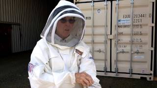 Hive Inspection Preparations