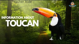 Information about | Toucan | Teacher Aide | Australia | English| Endangered |