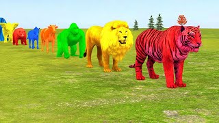 Long Slide Game With Elephant Gorilla Buffalo Hippopotamus Tiger - 3d Animal Game - Funny 3d Animals