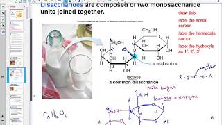 Chapter 20 Carbohydrates Lesson 1
