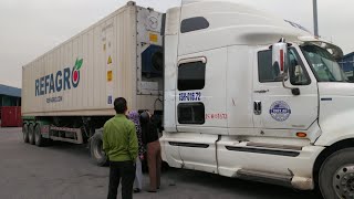 Kiểm tra container lạnh | Cắm điện container lạnh | Hải Phòng Logistics.