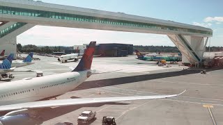 Seattle–Tacoma International Airport CINEMATIC | Sony A7IV + 24mm f/1.4 G Master