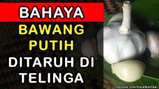 Bahaya Bawang Putih ditaruh di Telinga