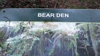 2016-12-21 Winter Solstice on the Port Gamble and Beaver Trails