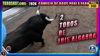 2 TOROS DE LUIS ALGARRA COMISION DE TOROS PUEBLA DE FARNALS 2024  TOROS TV 2024