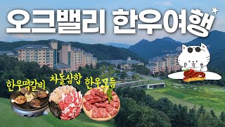 원주 맛집, 한우로만 정해드립니다 - 오크밸리 리조트 [한우맛집 2부]