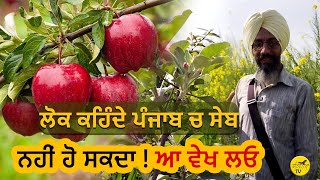 ਖੇਤੀ ਕਰਨ ਦਾ ਢੰਗ ਆਹ ਵੀਰ ਤੋਂ ਸਿੱਖੋ | Apple Farming | Organic Farming | Fatehnama TV