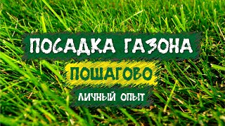 Газон своими руками. Пошагово рассказываю, как посадил посевной газон.