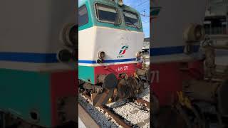 Caimano Accantonato alla stazione di Pescara Centrale